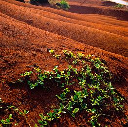 NS《Collar×Malice -Unlimited-》中文版剧情大纲公开，抢先一窥剧情走向